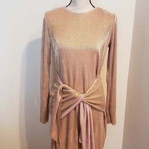NWT Champagne Metallic Ribbed Front Tie Dress
